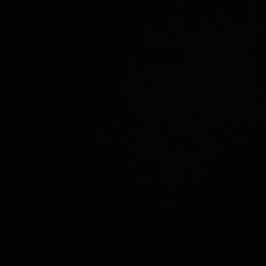 Meet your Posher, Cici